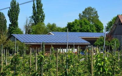 Placas solares para agua caliente sanitaria (ACS): funcionamiento y ventajas